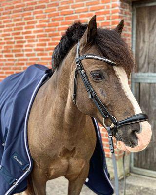 Cavallo Fleecedækken