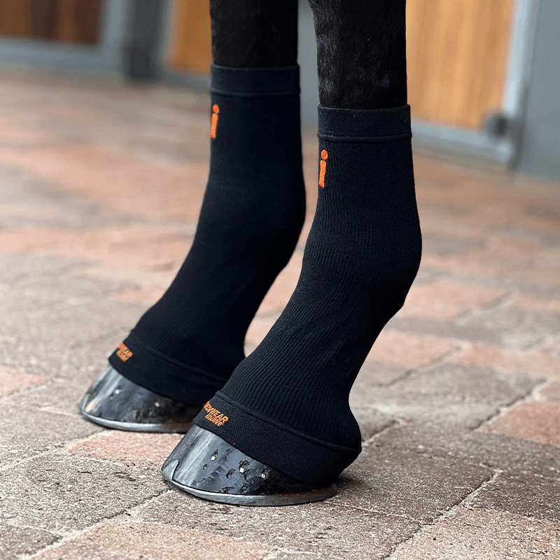 Circulation Hoof Sock Pair - Black (par)