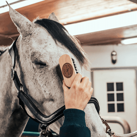 Borstiq Pandebørste - HEYO