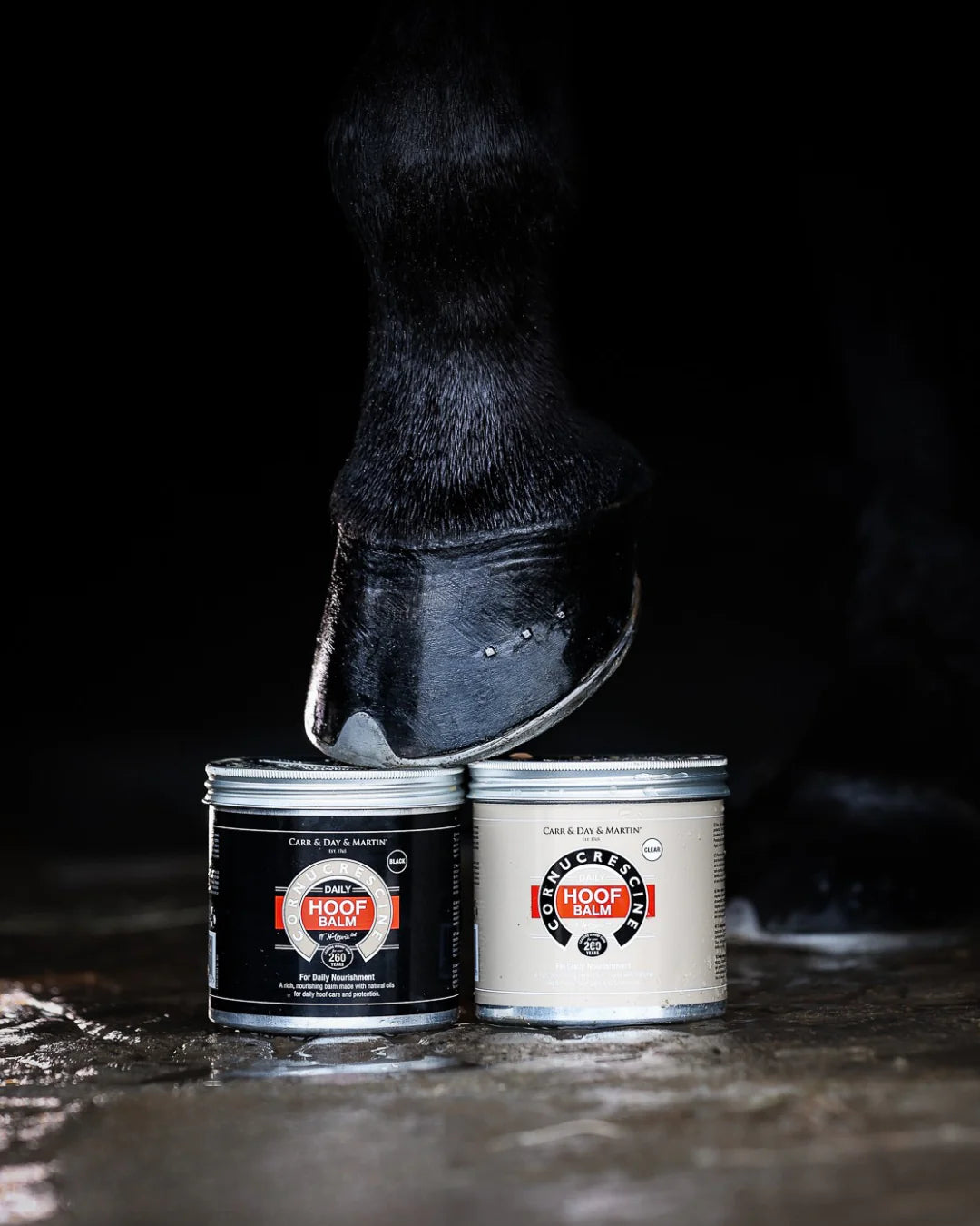 Carr & Day & Martin Cornurescine Daily Hoof Balm Clear Black (sort)
