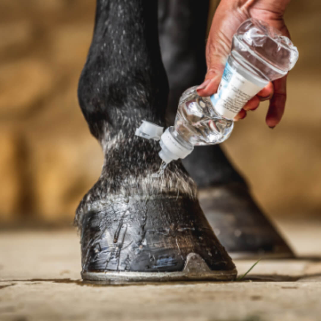 Carr & Day & Martin hovolie - Cornucrescine Daily Hoof Barrier - Hovbarriere