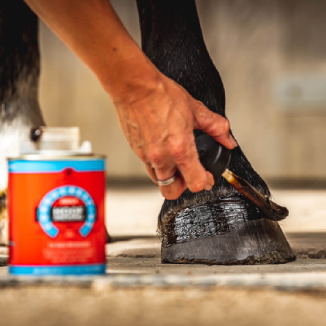 Carr & Day & Martin hovolie - Daily Hoof Dressing - Fremskynder hovvæksten